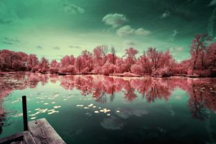 紅外攝影 捕捉光影之外，勾勒出世外桃源般的自然秘境